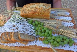 Chleb dożynkowy, winogrono oraz kłosy zboża na drewniej tacy