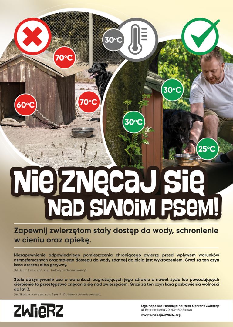 Plakat Fundacji Zwierz - grafika nadesłana