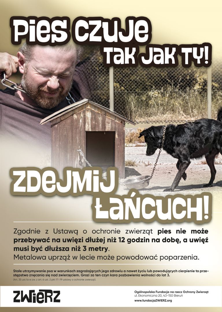 Plakat Fundacji Zwierz - grafika nadesłana