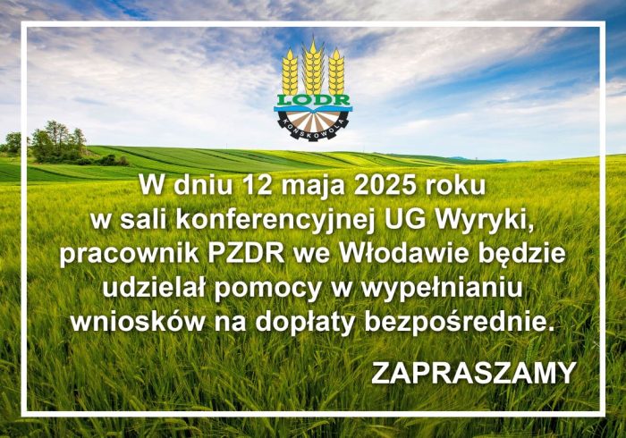 Grafika ozdobna- treść w artykule