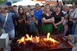 Na pierwszym planie zdjęcia widać pieczonego dzika a na nim pali się ogień. Płomienie są wyraźne i oświetlają mięso. Za leżącym dzikiem znajduje się tłum ludzi, którzy go obserwują.