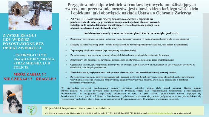 Miniaturka artykułu Mróz zabija – reagujmy, gdy zwierzęta potrzebują pomocy