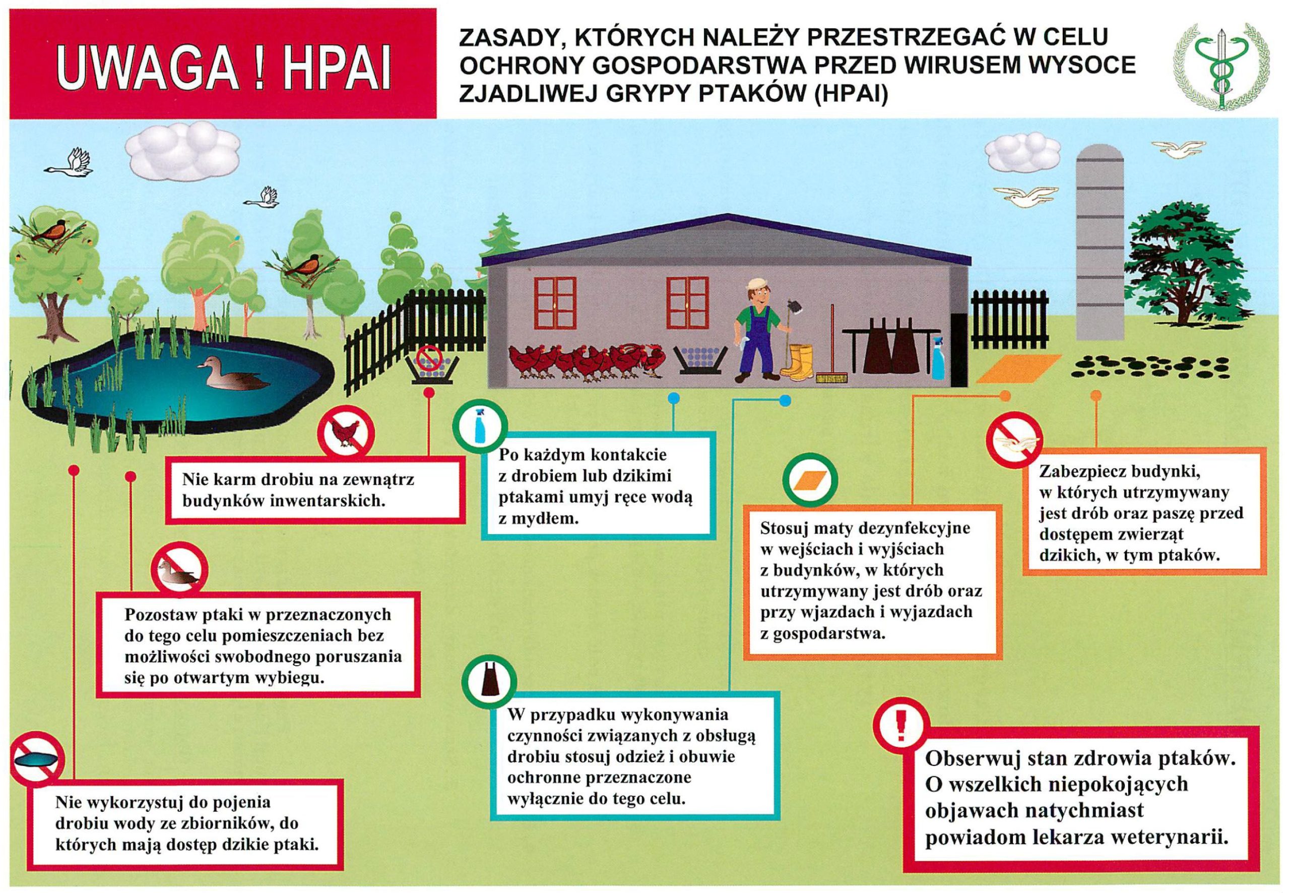 Ilustracja przedstawia schemat bezpiecznego gospodarstwa z kurnikiem oraz wytyczne bioasekuracji w ramkach: zakaz pojenia drobiu wodą z otwartych zbiorników, nakaz trzymania i karmienia ptaków wewnątrz budynków, wymóg mycia rąk i stosowania odzieży ochronnej, nakaz używania mat dezynfekcyjnych, zabezpieczenie budynków i paszy przed dzikimi zwierzętami oraz nakaz obserwacji stanu zdrowia drobiu.