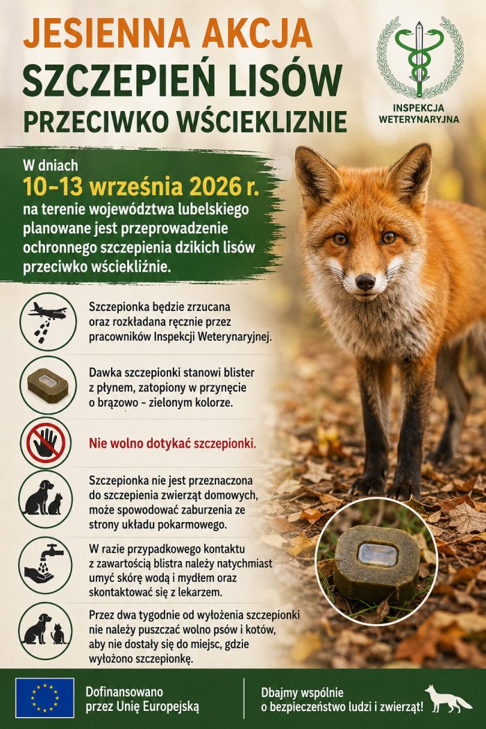 Miniaturka artykułu Komunikat – Jesienna akcja szczepień lisów przeciwko wściekliźnie – 2026